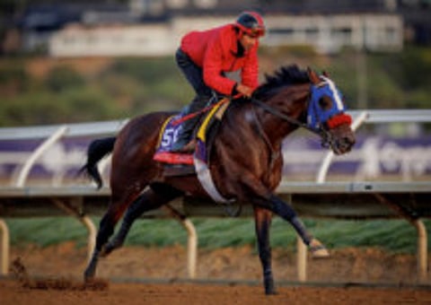 Dubai World Cup meeting: Raging Torrent ready to give trainer Doug O’Neill more smiles