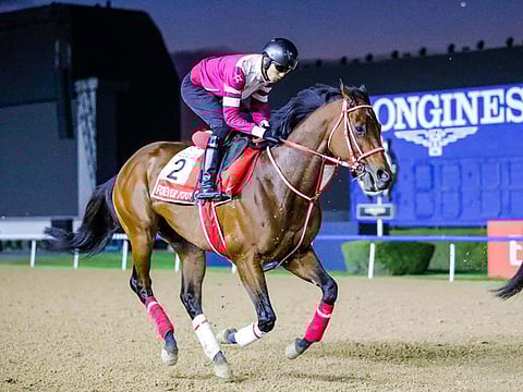 Forever Young and Ryusei Sakai breezing at Meydan on Tuesday.