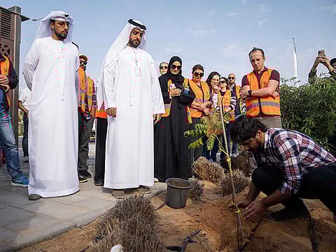 Abu Dhabi launches tree-planting initiative for a greener future