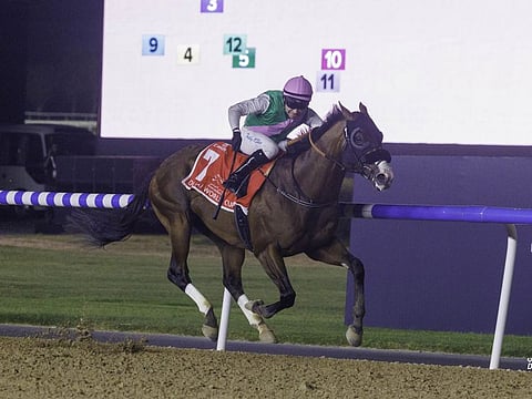 Laurel River, ridden by Tadhg O’Shea, on way to a stunning win in the Group 1 Dubai World Cup at Meydan on Saturday. The Bhupat Seemar-trained six-year-old finished 8.5 lengths ahead for the biggest margin in the race’s history.