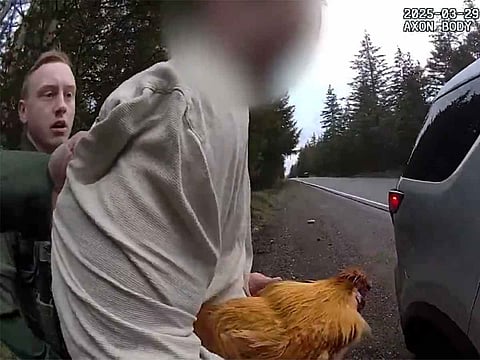 The Sheriff’s Office captioned the bodycam footage, “On Patrol. Deputies recover an abducted chicken,” giving a light-hearted touch to an otherwise bizarre case.