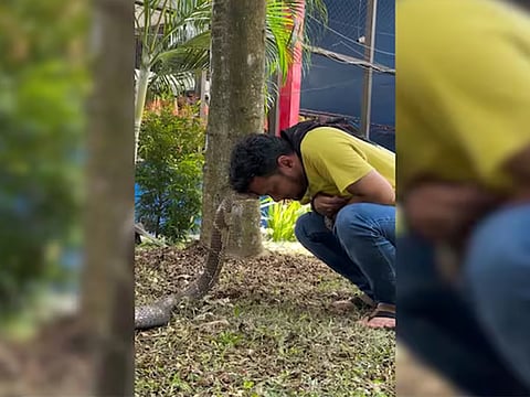 Shared on Instagram, the clip begins with the man, dressed in a yellow T-shirt and blue jeans, crouching in front of the cobra