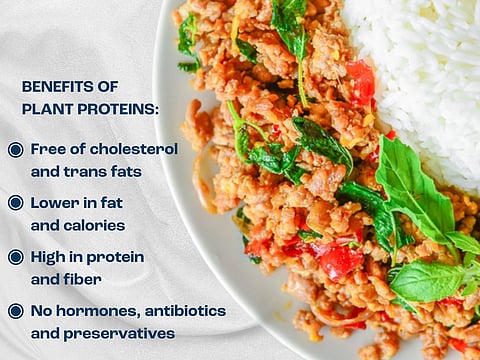 The rise of plant proteins