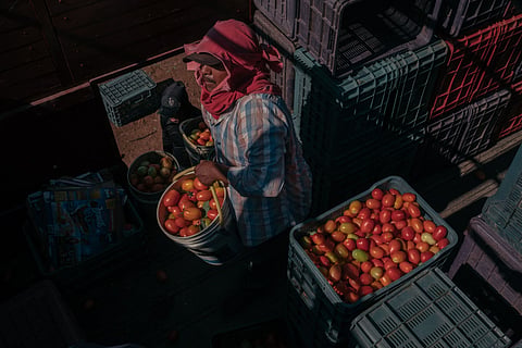 In recent years, the US, known for being a global agriculture powerhouse, has increased its purchases of food imports.