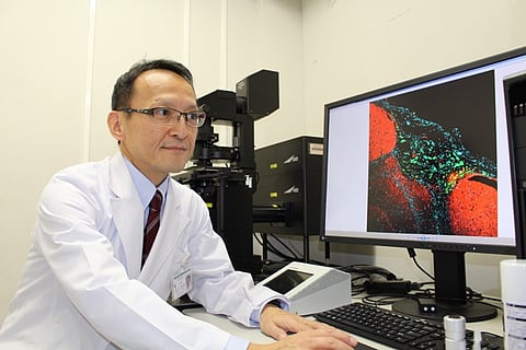 Prof. Shinya Tanaka of Hokkaido University led the research on double network (DN) hydrogels, which help turn cancer cells back into cancer stem cells (CSC). This could boost the treatment of cancer beyond traditional chemo and radiotherapies.