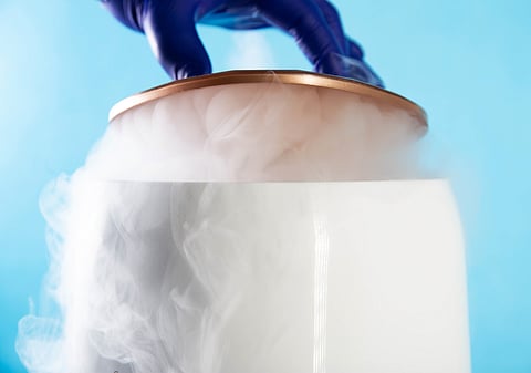 Advocates say whole-body cryotherapy is effective in reducing muscle soreness, stress, rheumatism and various skin conditions -- like ice baths.