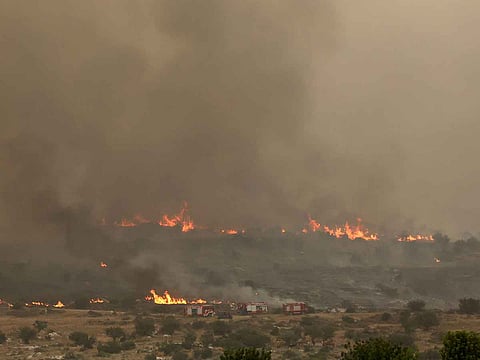 Flames engulf vegetation during a forest fire near the central Israeli town of Bet Shemesh on April 30, 2025.
