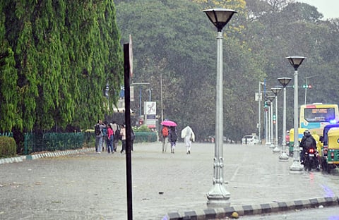 Showers in Chennai bring respite from heat, rainfall alert in several districts of Tamil Nadu for Monday.