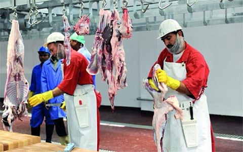Abu Dhabi Municipality conducts comprehensive abattoir inspections ahead of Eid Al Adha 2025