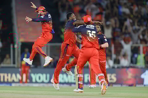 RCB players celebrate the wicket of Punjab skipper Shreyas Iyer during the final in Ahmedabad on Tuesday.