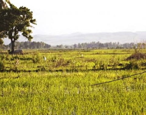 The villagers have been opposing the proposal to establish the ethanol plant. They urged authorities to cancel the permission given to the company.