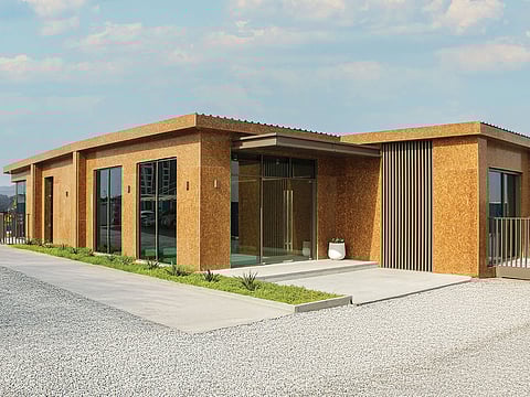 DesertBoard: Built in the UAE, for the world