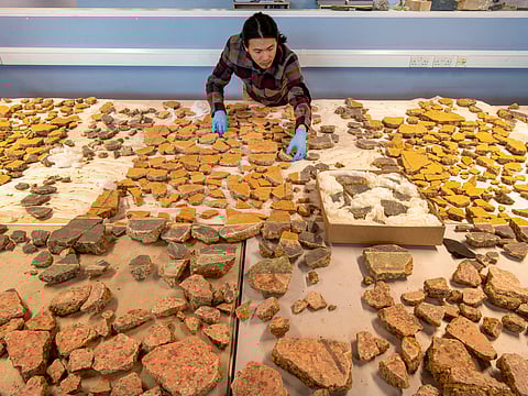 MOLA senior building material specialist Han Li laying out Roman plaster fragments from The Liberty development site in Southwark, south London.