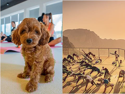 Limited Spots: UAE's Most Unique Yoga Classes Include Puppies, Mountain Views, and Balloon Rides