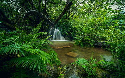 Salalah’s mist-covered valleys and rolling hills offer a cool retreat from Gulf summer heat.