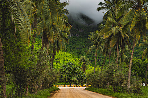 Discover how UAE residents can enjoy Salalah’s cool Khareef monsoon season with flights, visa information, top attractions, and travel tips.