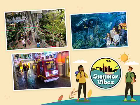 From indoor activities to staycations, we've got you covered!