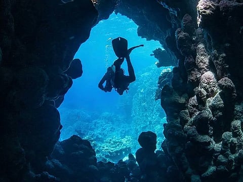 Dive into Saudi Arabia's ancient Red Sea caves