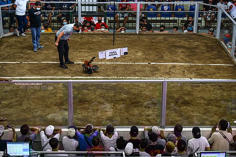 People watch as a referee officiates a cockfighting match at the San Pedro Coliseum in Laguna province on August 26, 2022.