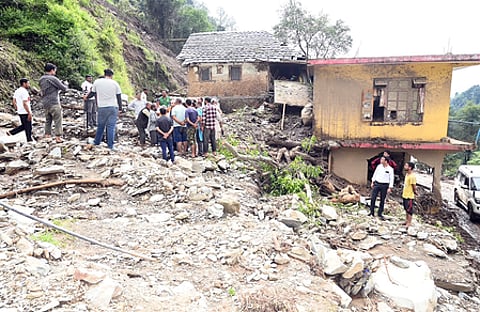 An alert puppy has saved the lives of dozens of people in flood-hit Himachal Pradesh.