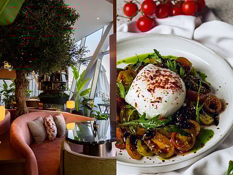 Escape the cubicle: Dubai's cafe work spots