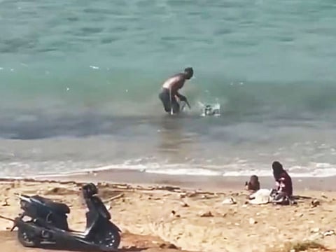 Lebanese authorities intervened, rescued the injured dog, and transported it to a veterinarian for urgent medical attention.