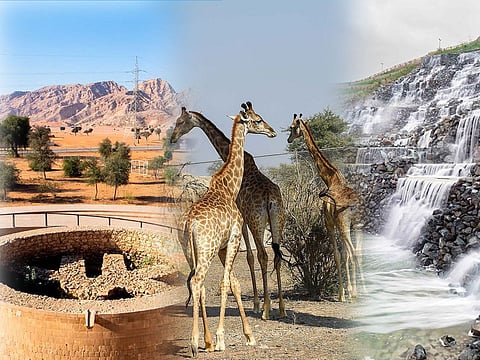 Explore Sharjah: 10 must-visit spots for nature, culture and adventure