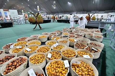 Global visitors flock to Liwa for date festival's cultural showcase