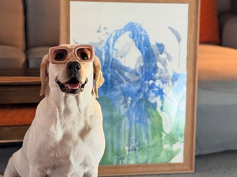 Dali, the two-year-old Labrador with one of her paintings.