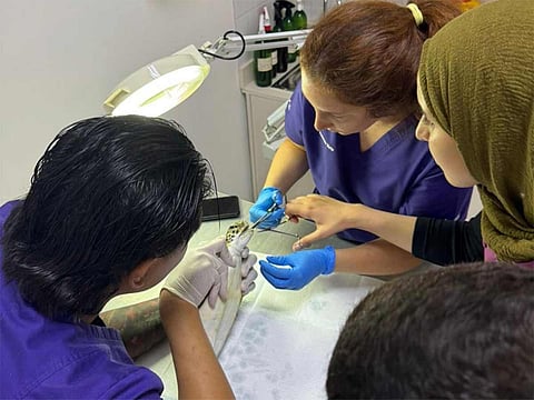 Dubai Police rescue endangered sea turtle entangled in fishing gear