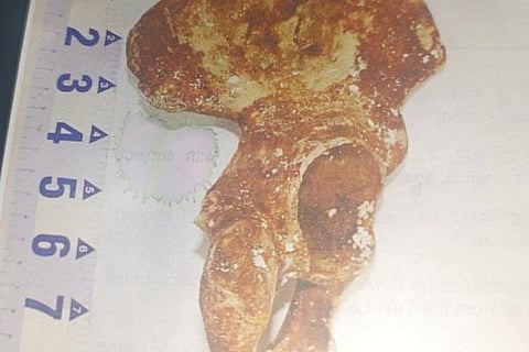 A human hip bone, one of the remains found in a sack dumped in Taal Lake, is believed to belong to one of the "sabungeros" (cockfighting enthusiasts), missing since 2021-2022 in the Philippines. The disappearances initially prompted public outrage. Investigations yielded no concrete evidence or recovered remains. Now, the human bones found by scuba divers in the lake could help piece together events surrounding what appeared to be the handiwork of an organised crime ring and take the perpetrators to account.