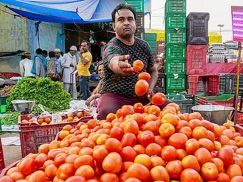 A vendor arranges tomatoes on a cart in New Delhi. (Picture for illustrative purpose only)