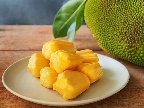 The jackfruit is the largest tree fruit, reaching 55kg in weight. A mature jackfruit tree produces around 200 fruits a year, and older trees bear up to 500 fruits annually.