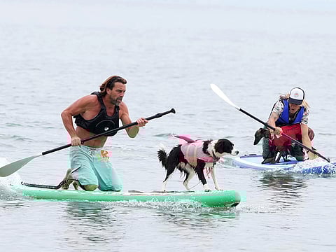 Benn Gray and Boo, centre, take part in the Guinness World record attempt for 'The fastest 50m on a paddle board by a human/dog pair' at Dog Masters Festival a dog on a paddle board contest near Poole in Dorset, England.
