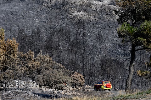A French firefighters' car is seen driving among burnt trees and scorched land following wildfires at the Mount Saint Victor, in the Aude department in southern France.