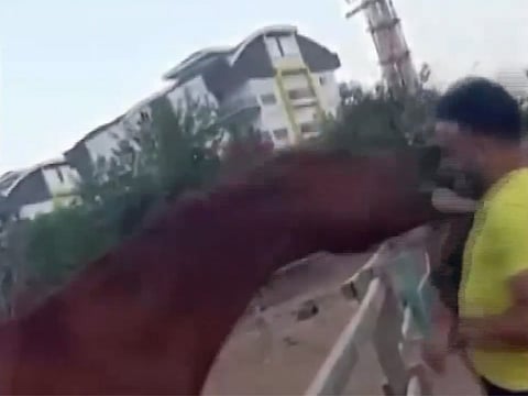 As the horse bent down to take the grass, it suddenly reared up, bit the boy under his arm.