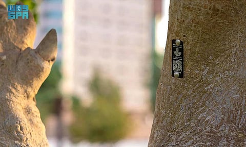 Saudi Arabia Embarks on Green Smart City Transformation with 100,000 Tree Tags in Al Khobar