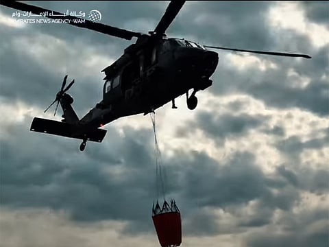 UAE rescue team continues efforts to extinguish wildfires in Albania