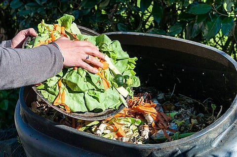 The Authority identified three main negative impacts of food waste