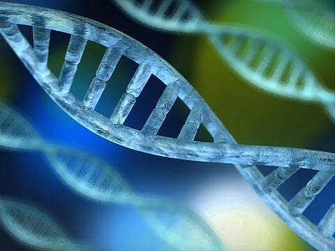 Scientists achieve breakthrough in diabetes treatment with gene-edited cell transplant