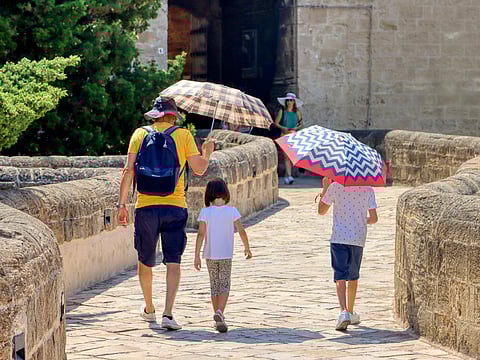Extreme heat kills more than 1,300 people in Portugal