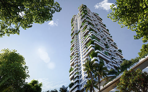 A coastal haven in Dubai Maritime City, where nature, wellness, and sustainability converge.