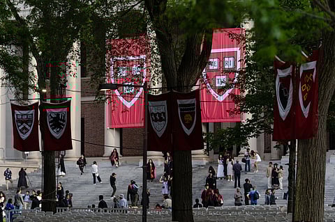 In addition to the funding halt, the administration has tried to stop foreign students from enrolling.