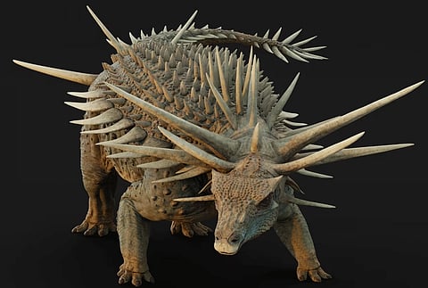 Fossils recently unearthed in the Atlas Mountains reveal that Spicomellus is the oldest known ankylosaur — a family of heavily armored dinosaurs famed for their bony hides and tail clubs