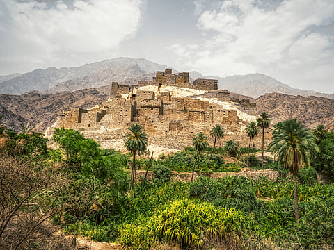 Al Baha has emerged as Saudi Arabia’s first major coffee bean producer, positioning itself as a key player in the country’s agricultural diversification plans.