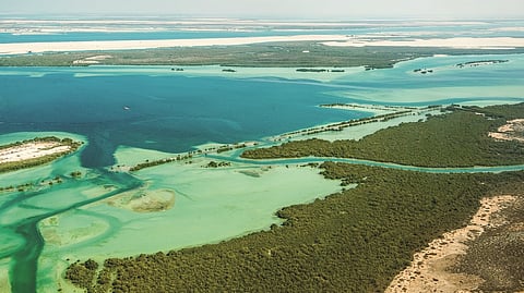 IUCN Red List of Threatened Species is the world’s most comprehensive database on the conservation status of plant, animal, and fungal species.