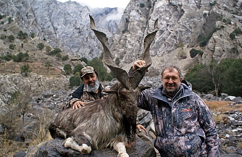 Hunters from around the world pay high price to hunt Markhor, the national animal of Pakistan.