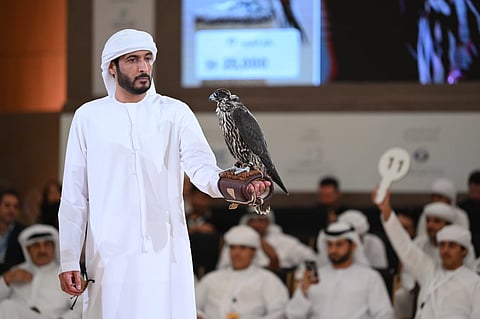 ADIHEX's falcon auction sales hit Dh1.7 million