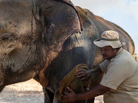 Empowering the protectors: How Vantara champions its caregivers