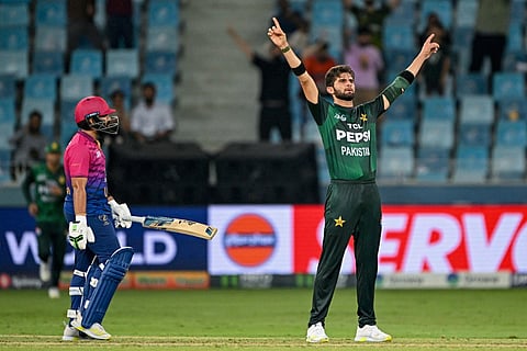 Pakistan's Shaheen Shah Afridi (R) celebrates after taking the wicket of UAE's Alishan Sharafu during the Asia Cup 2025 Twenty20 international cricket match at the Dubai International Stadium in Dubai on September 17, 2025.
